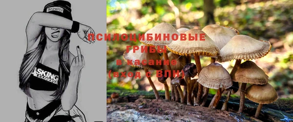 мдпв Волоколамск