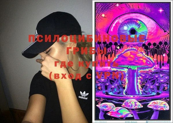 мдпв Волоколамск